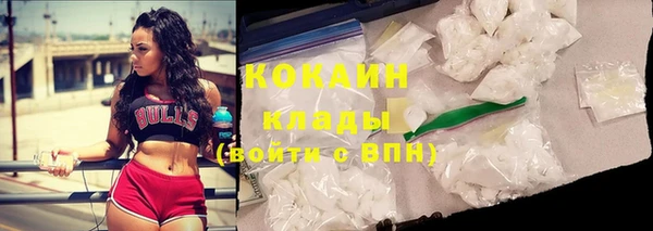 дурь Горняк