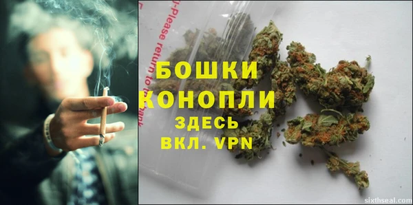 дурь Горняк