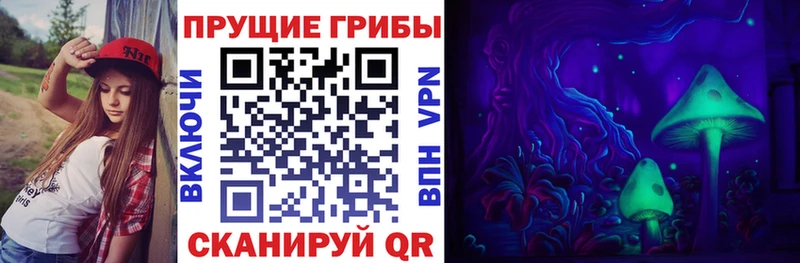 Купить закладки  Вязники  Галлюциногенные грибы мицелий 