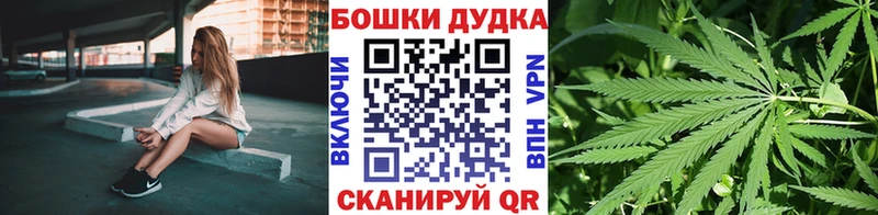 Канабис ГИДРОПОН Вязники